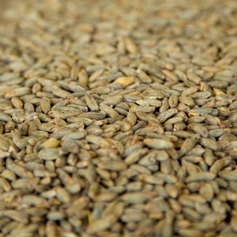 Gambrinus Rye Malt