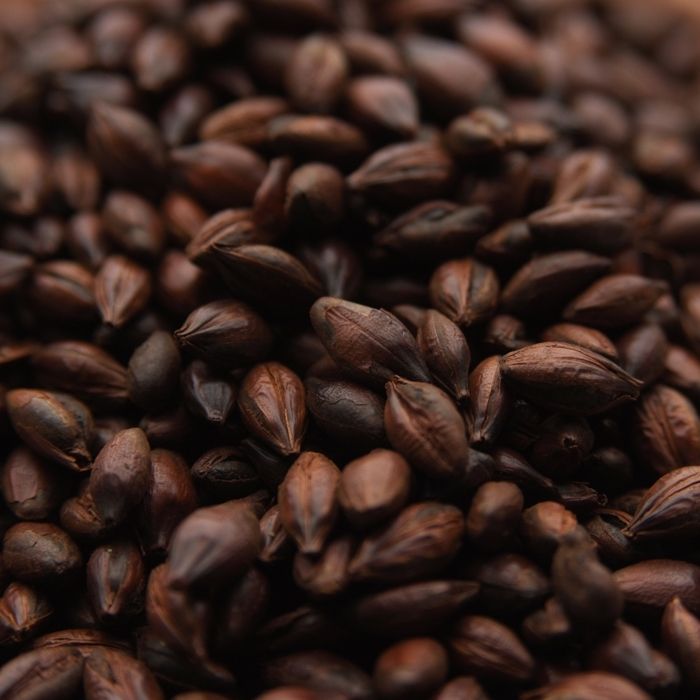 Weyermann Roasted Barley