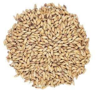 Viking Cookie Malt