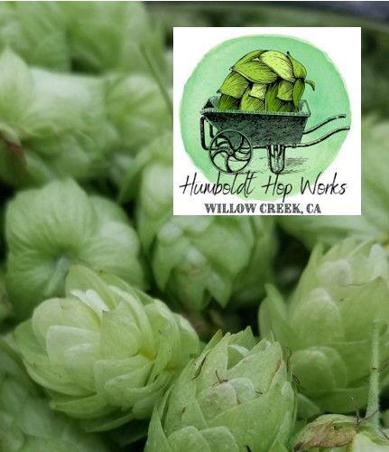HHW Cashmere Leaf Hops, 4 oz