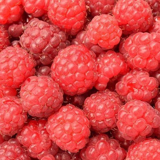 Raspberry Flavoring, 4 oz