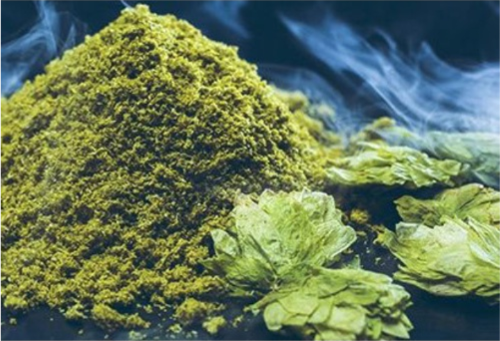 CRYO HOPS® LupuLN2 Powder