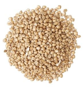 Briess Torrified Wheat