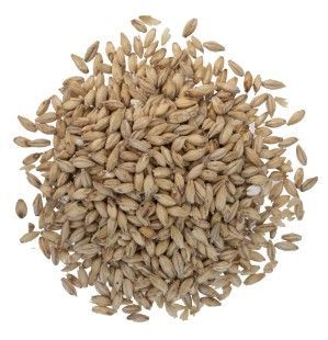 Briess Brewers Malt 2 Row