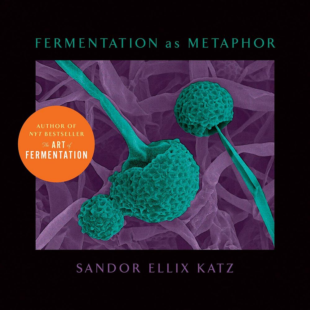 Fermentation as Metaphor