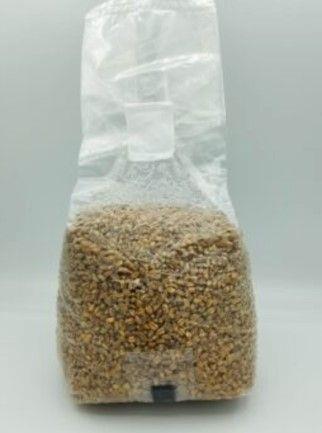 Sterilized Grain Bag w/ Injection Port (3lb)