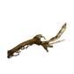 Sterling Hop Rhizome